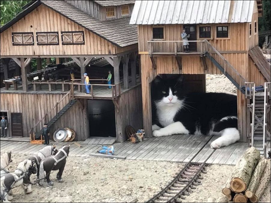 фото приколы