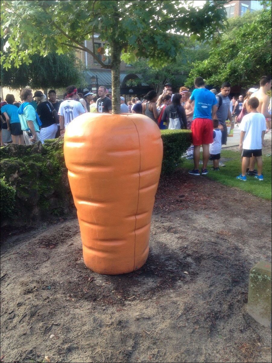 фото приколы