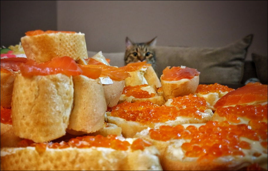 фото приколы