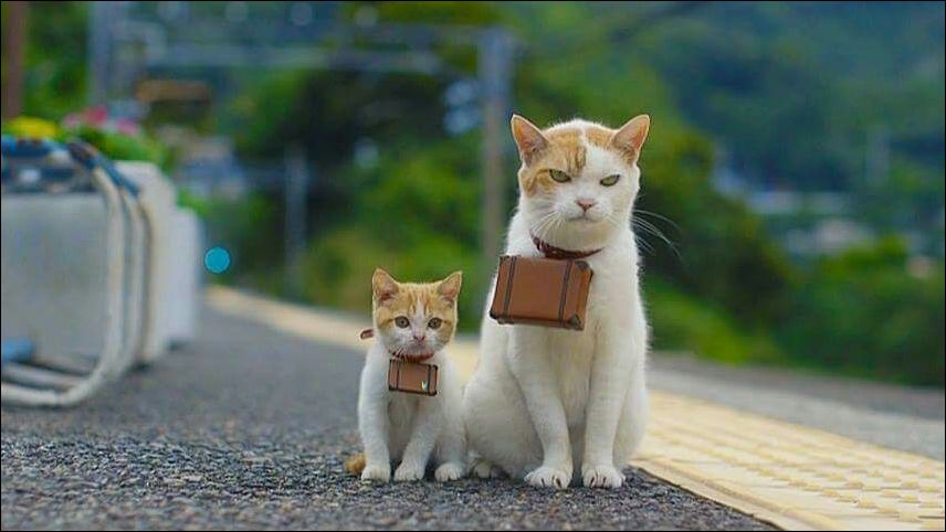 фото приколы