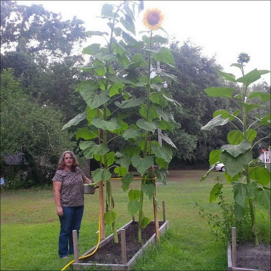 фото приколы