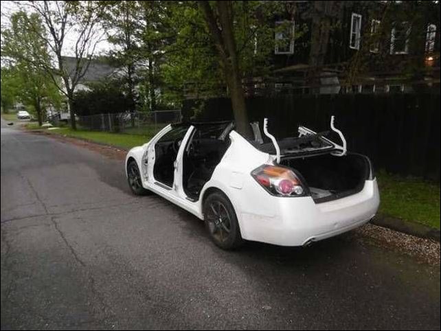 фото приколы