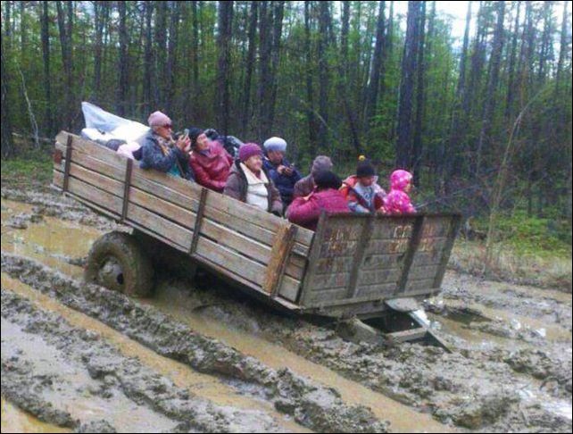 фото приколы