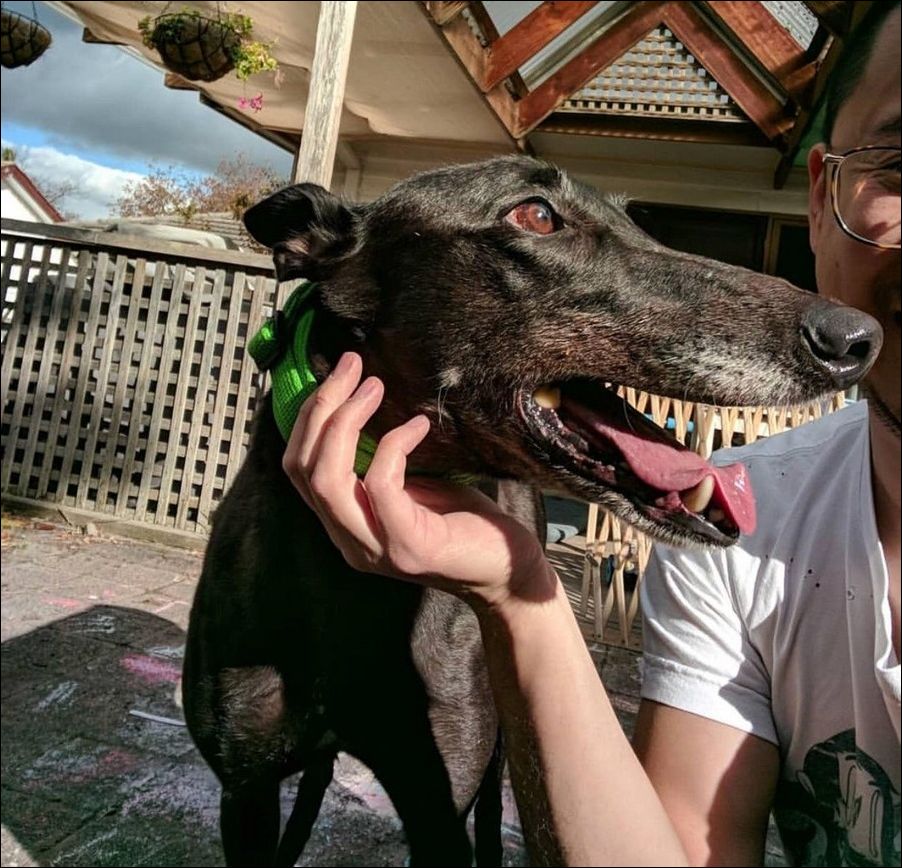 фото приколы