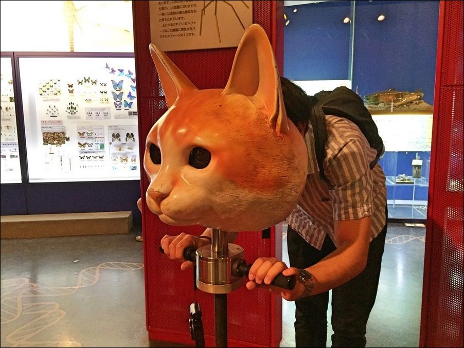 фото приколы