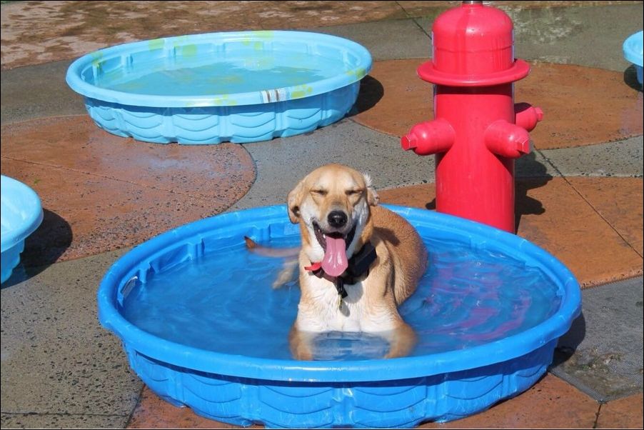 фото приколы