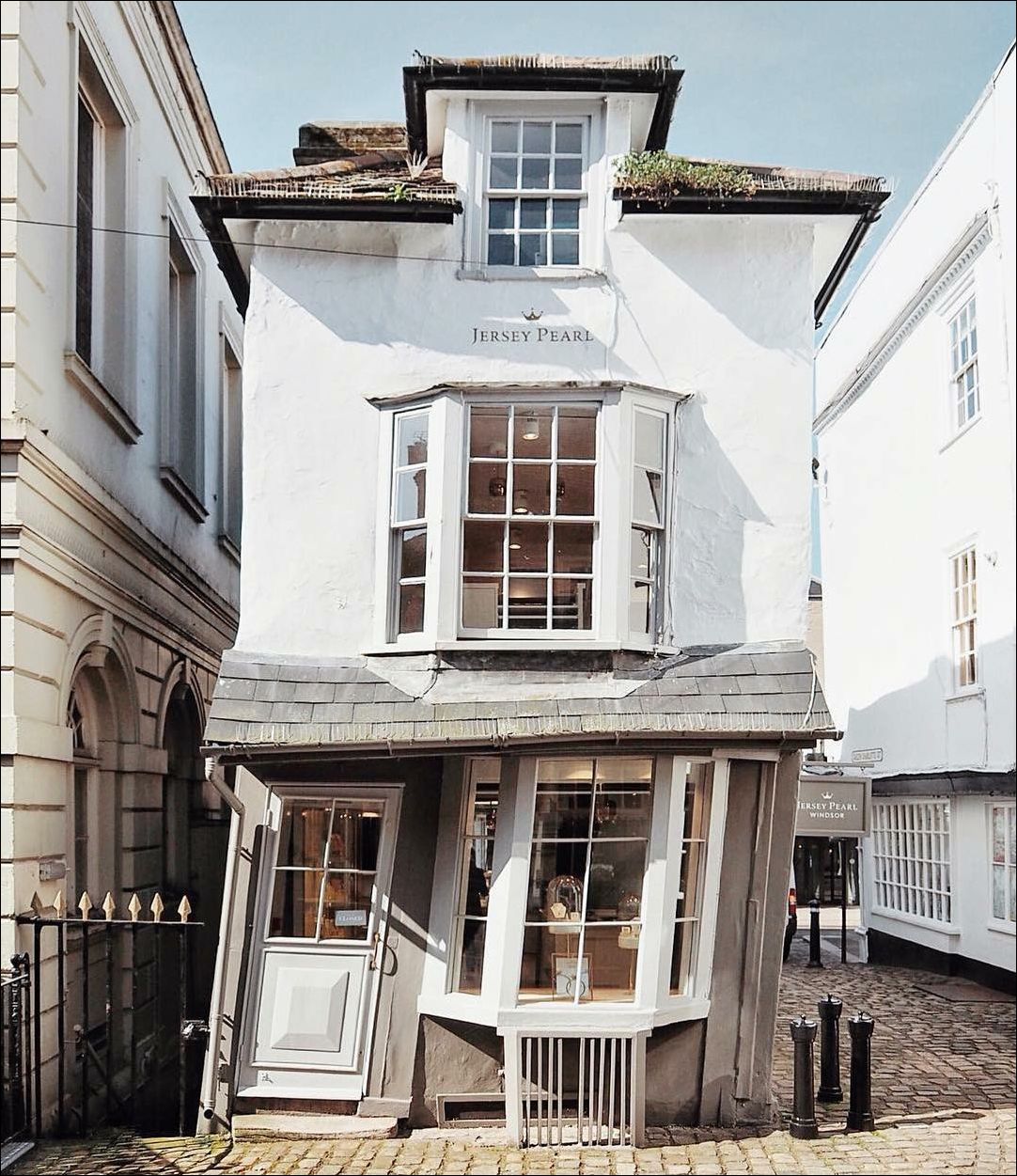 фото приколы