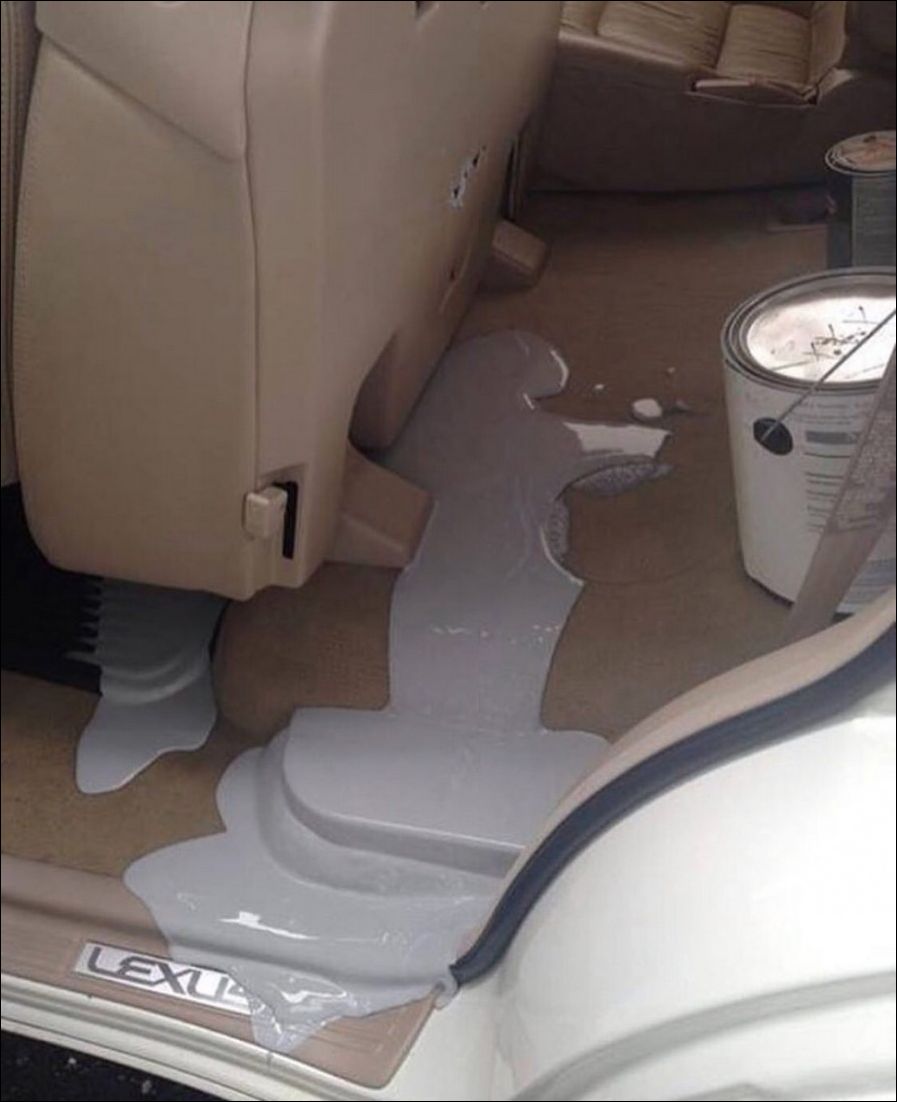 фото приколы