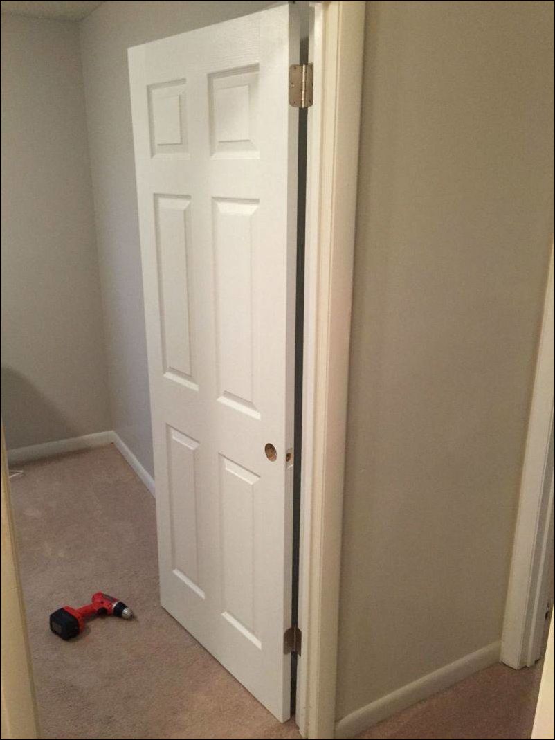 фото приколы