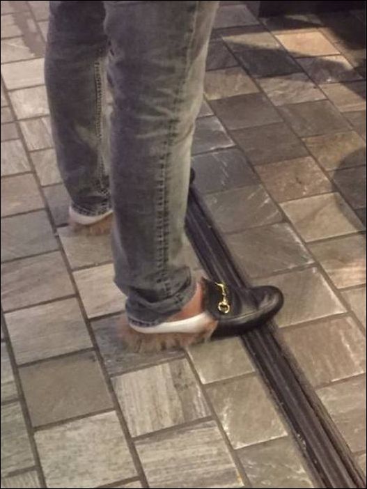 фото приколы