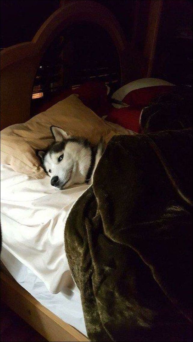 фото приколы