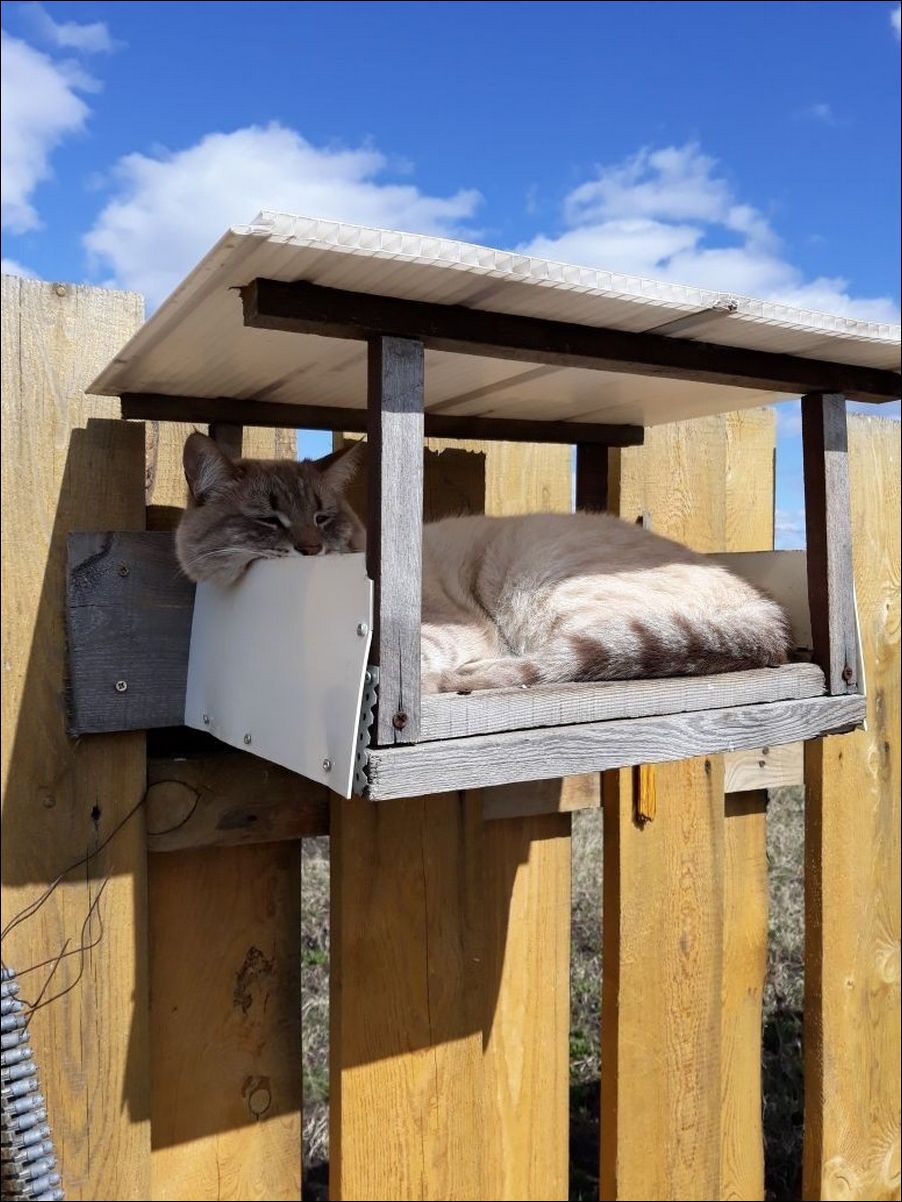 фото приколы