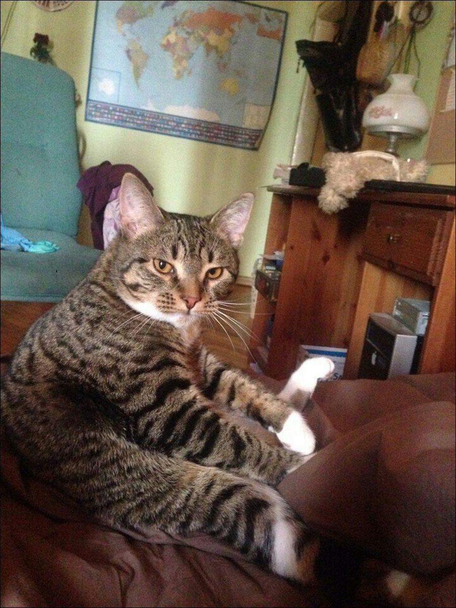 фото приколы