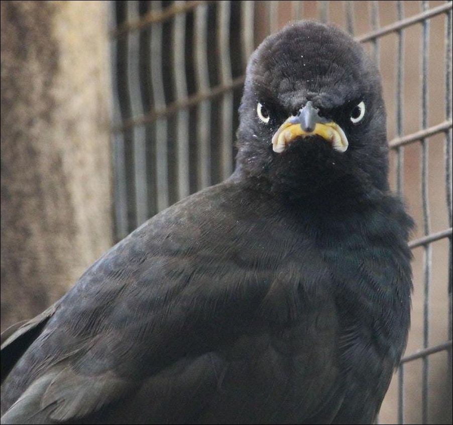 фото приколы