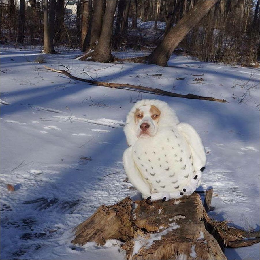 фото приколы