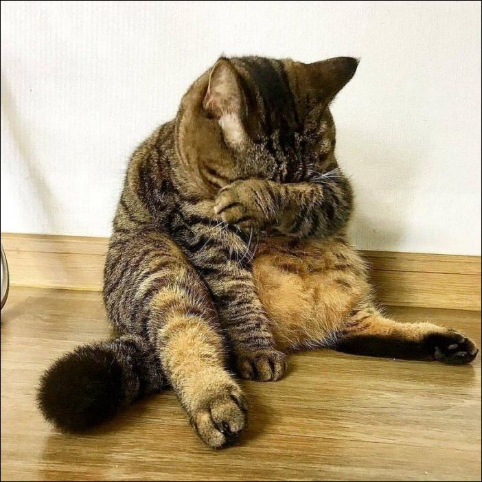 фото приколы