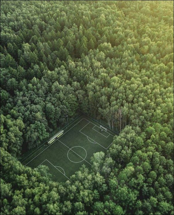 фото приколы