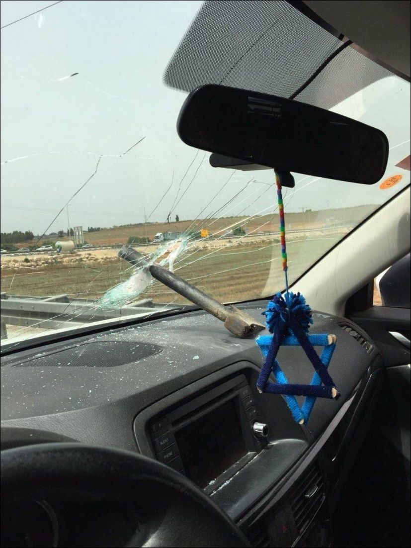 фото приколы