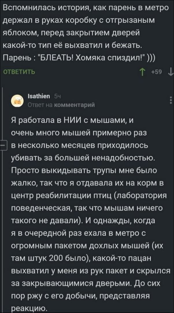 смешные комментарии