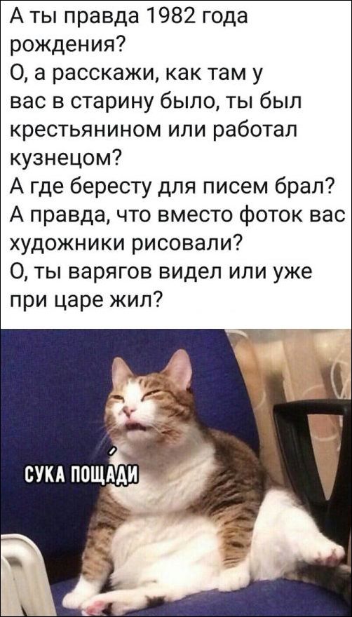 смешные комментарии