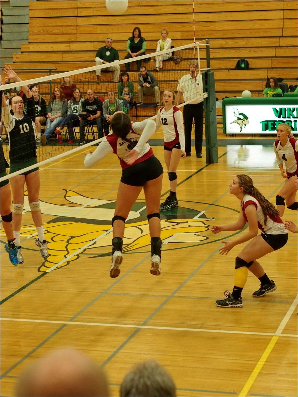 фото приколы