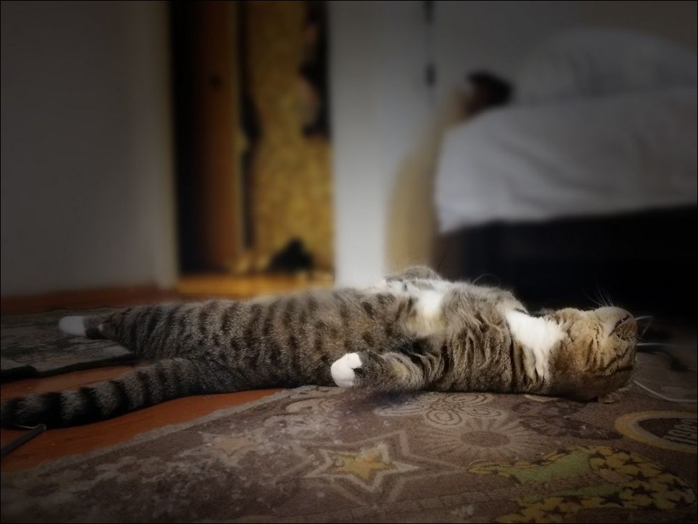 фото приколы