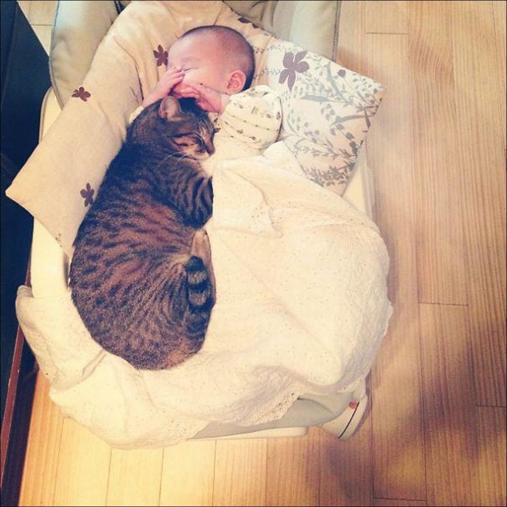 фото приколы