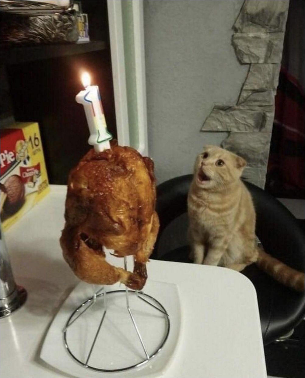 фото приколы