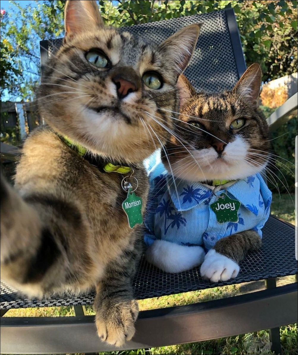 фото приколы