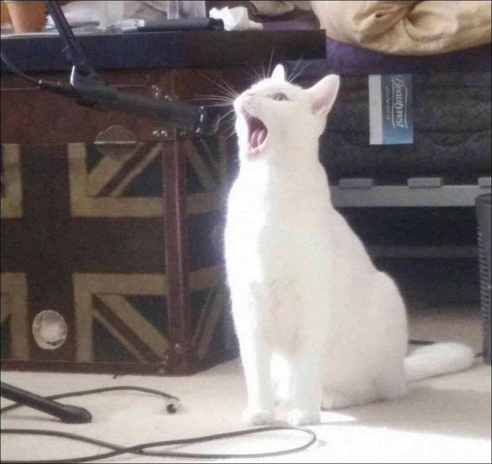 фото приколы