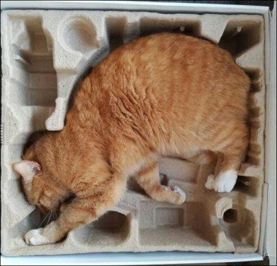 фото приколы