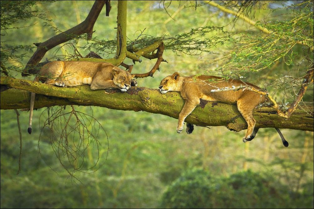 фото приколы