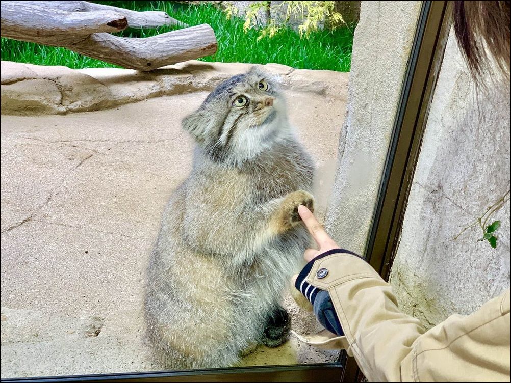 фото приколы