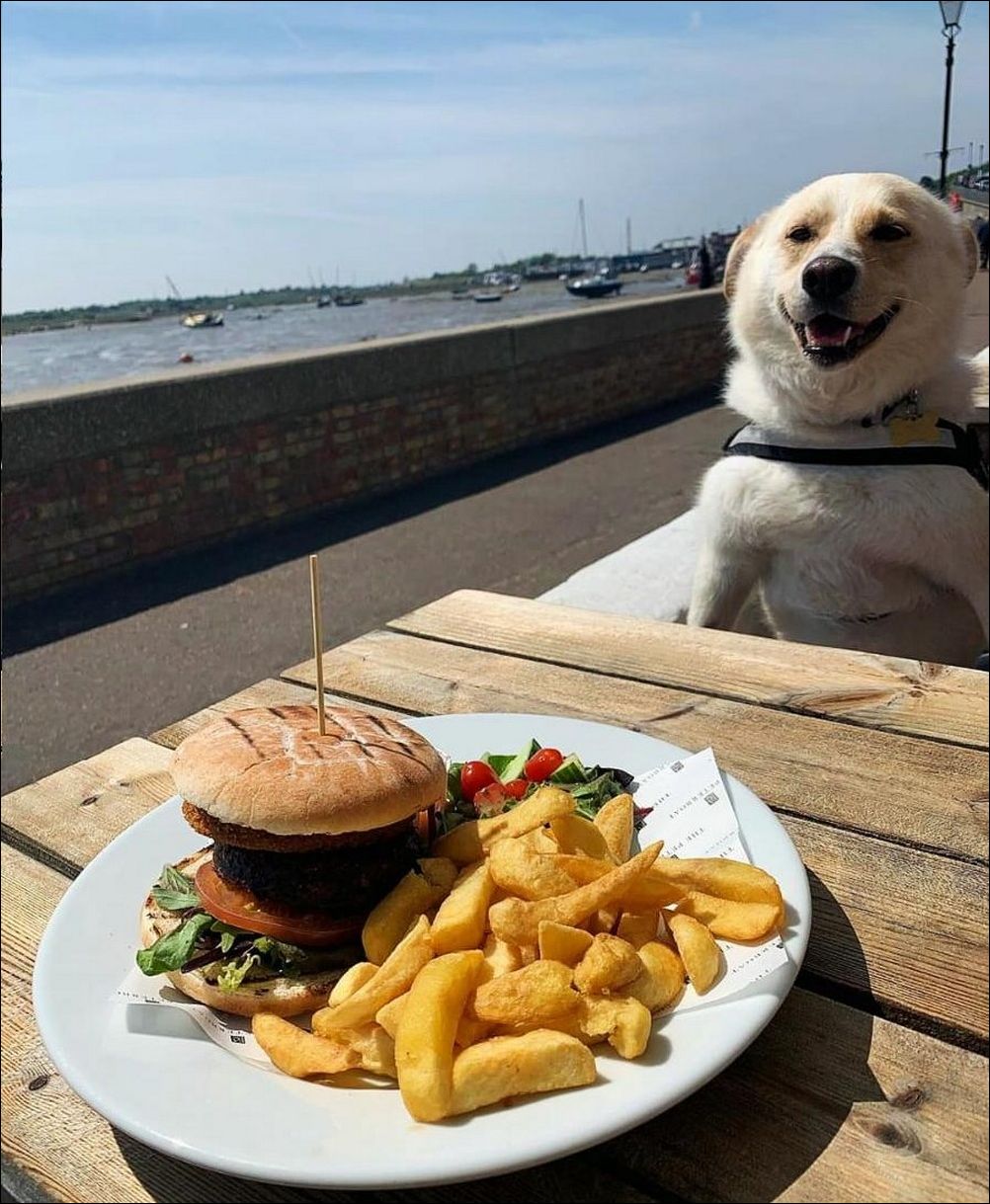 фото приколы