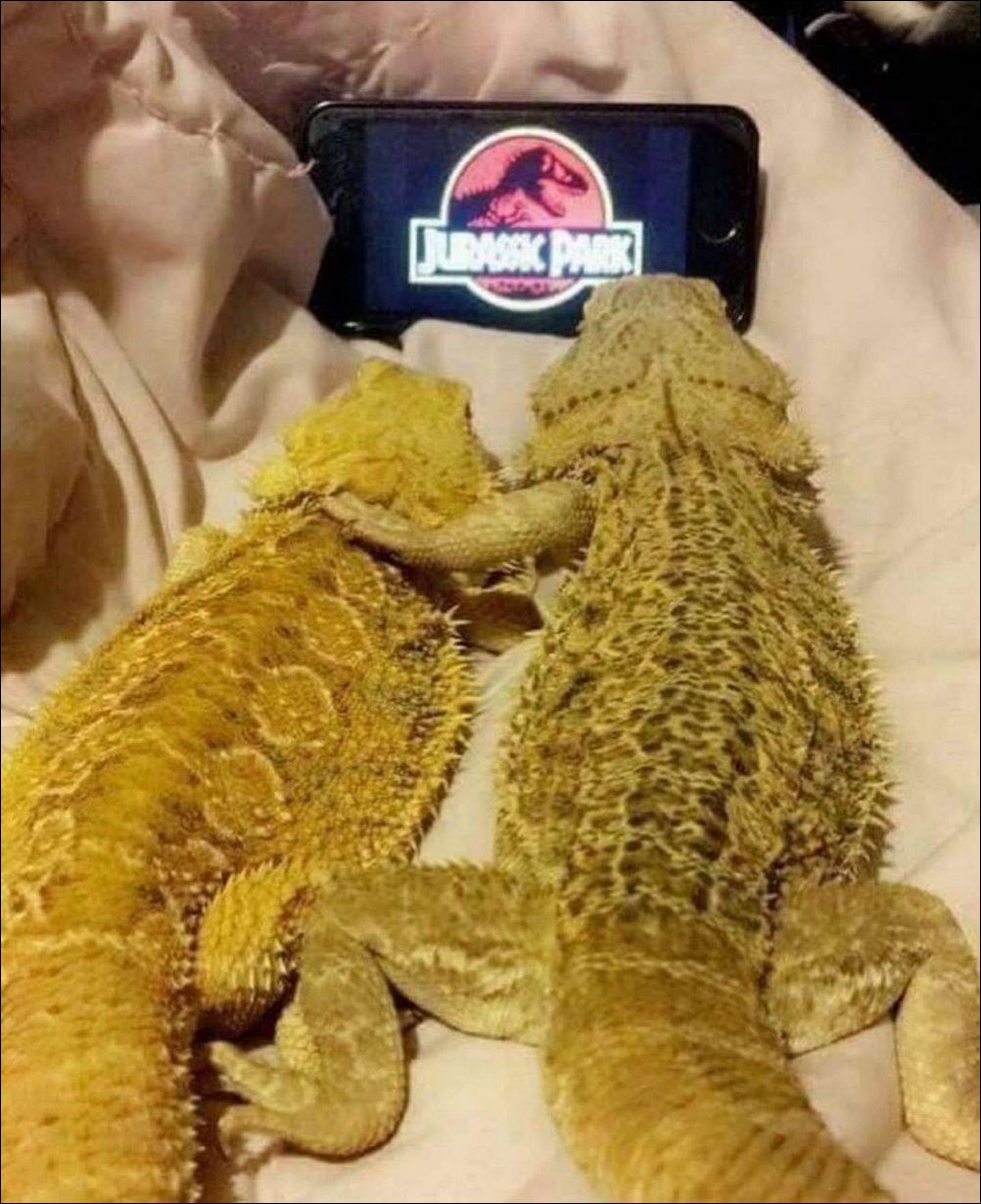 фото приколы