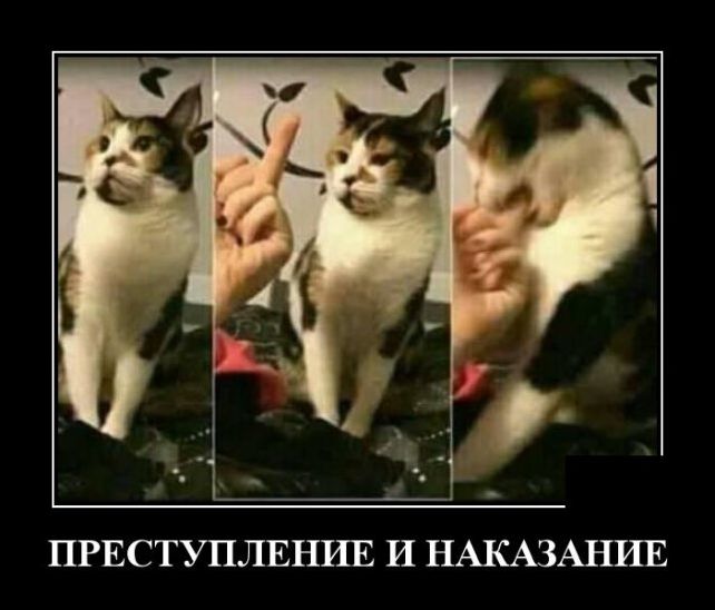 демотиваторы