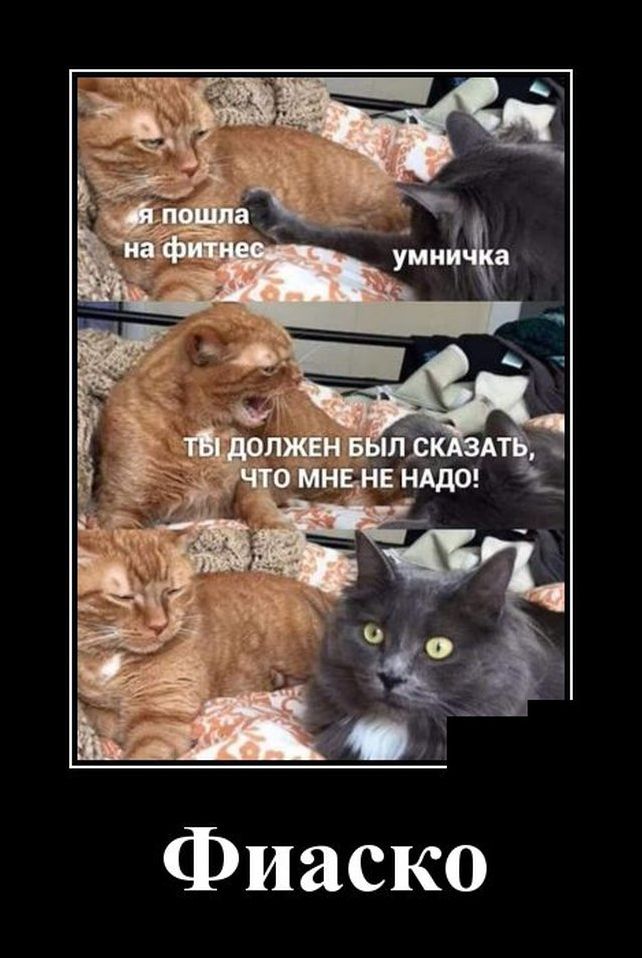 демотиваторы