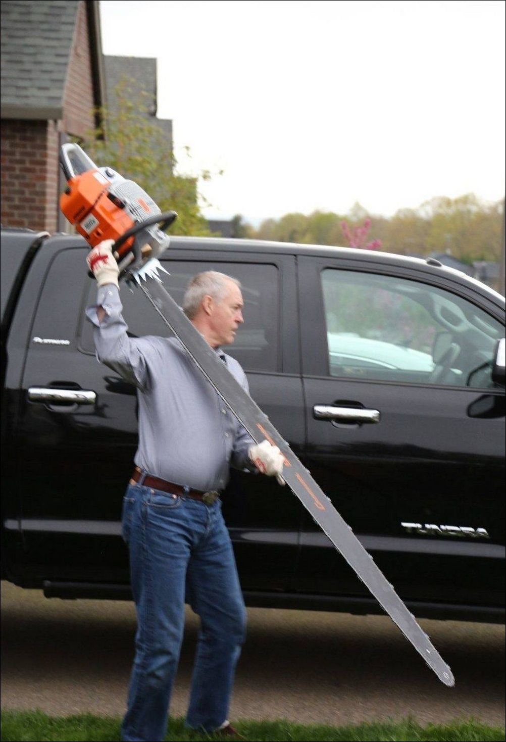 фото приколы