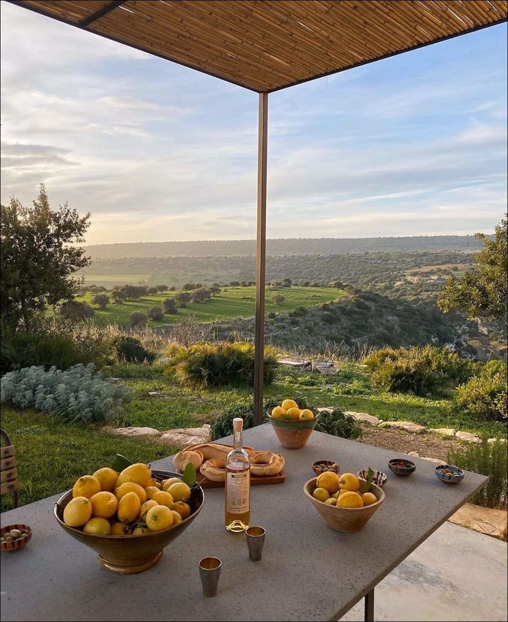 фото приколы