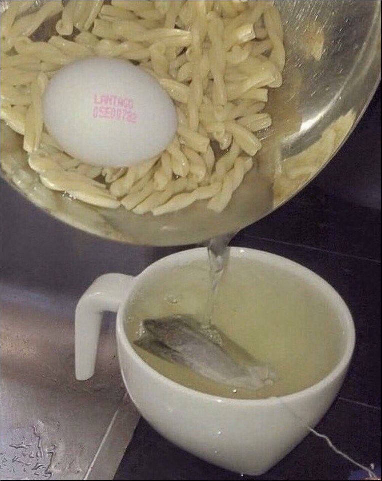 фото приколы