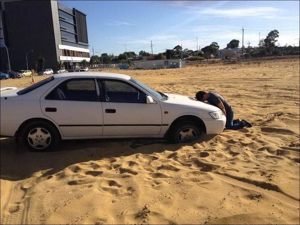 фото приколы