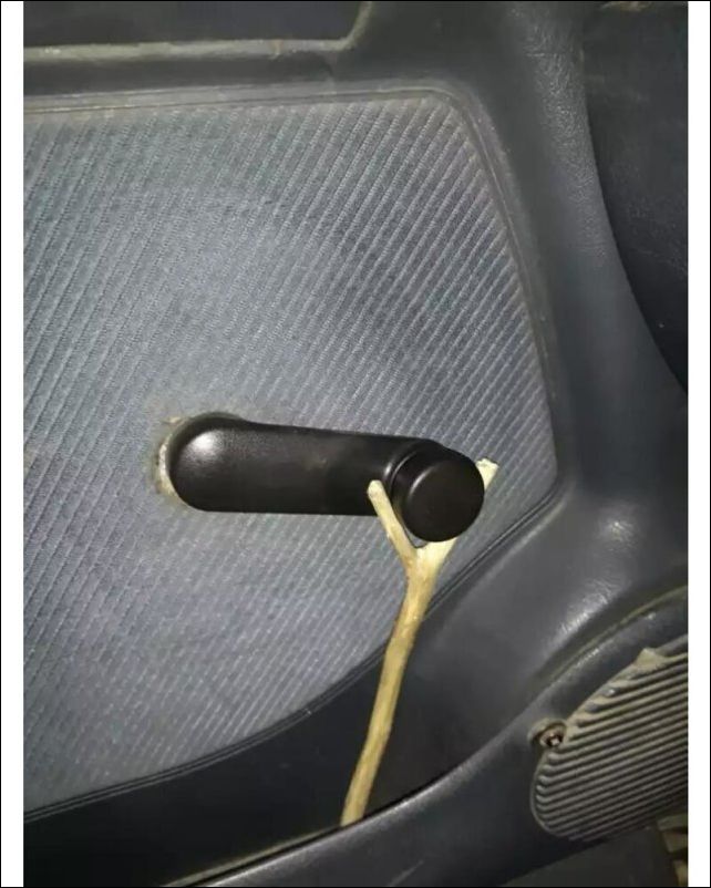 фото приколы