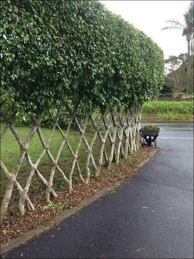 фото приколы