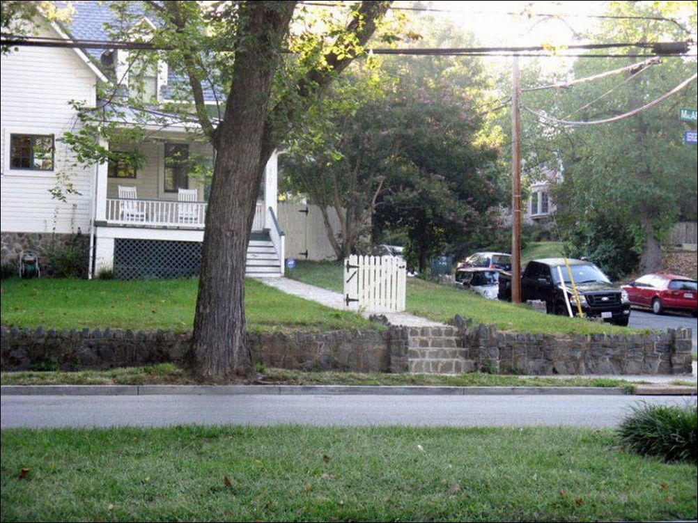 фото приколы