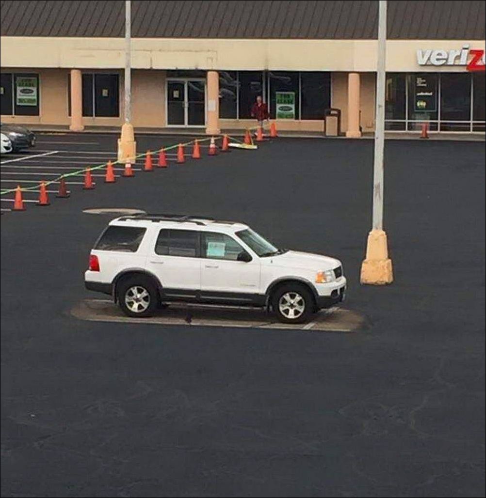 фото приколы