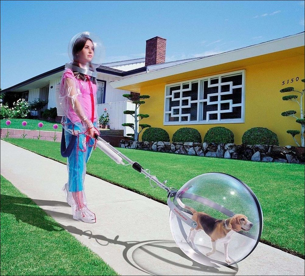 фото приколы