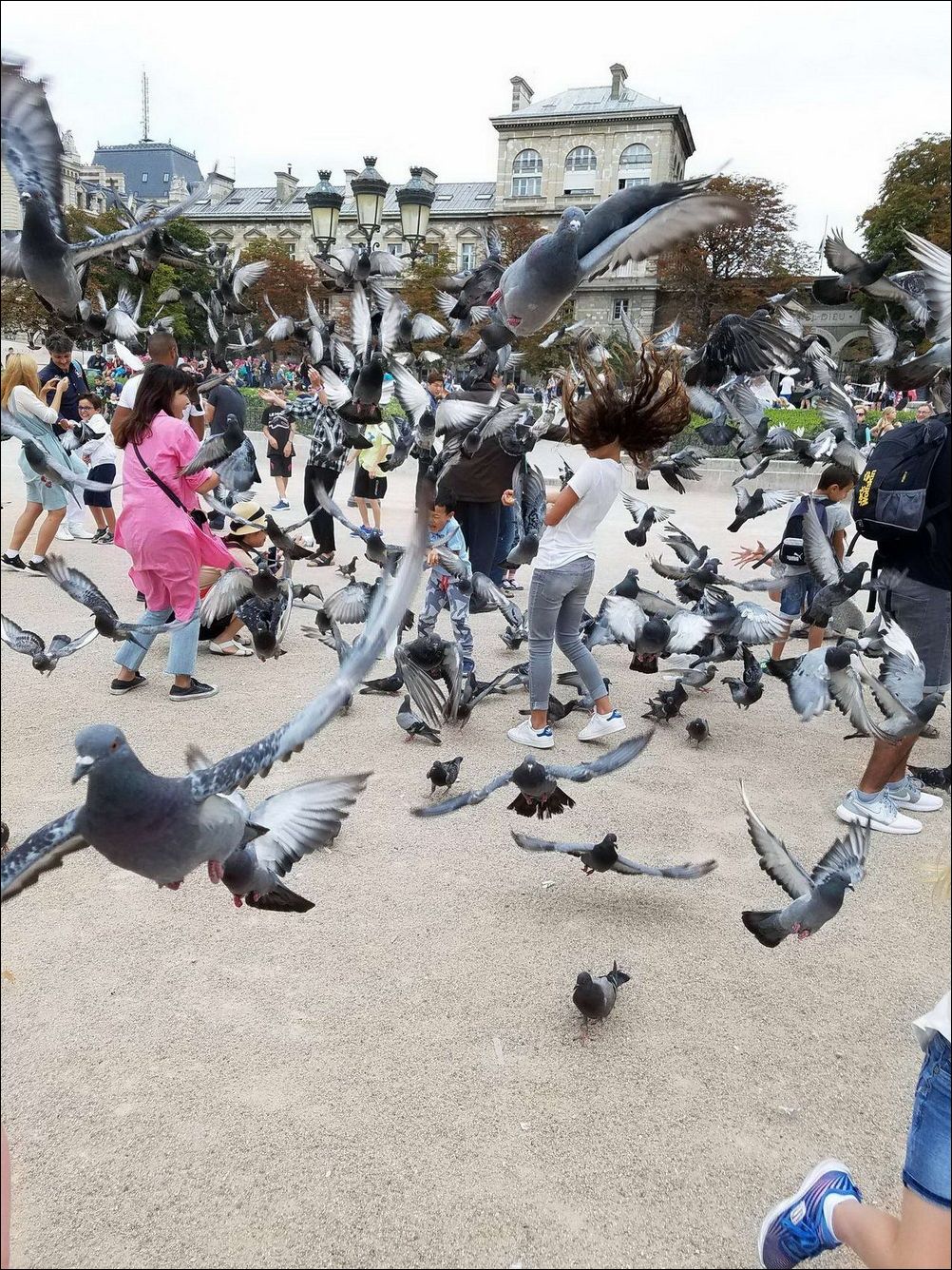 фото приколы