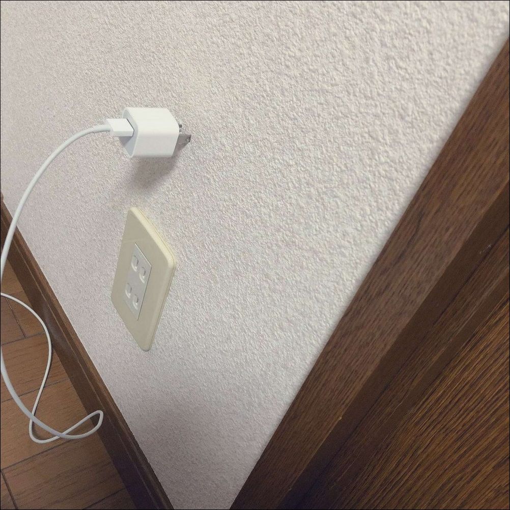 фото приколы