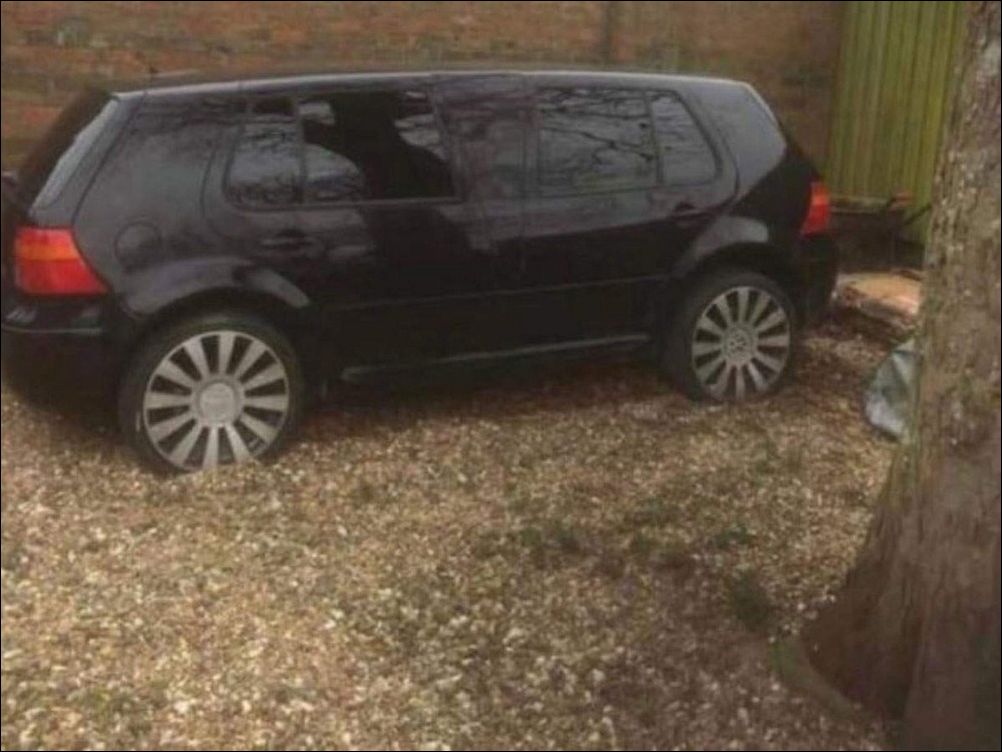 фото приколы