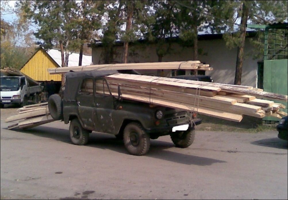 фото приколы